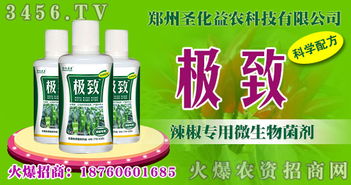 辣椒爛根、早衰、畸形怎么辦？辣椒專用微生物菌劑助你豐收無憂
